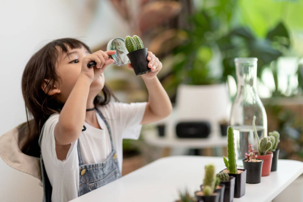 kid gently touch new stem of the cactus he grows with care, one hand holds magnifying glass.Nature education, Montessori and observation skills concept.